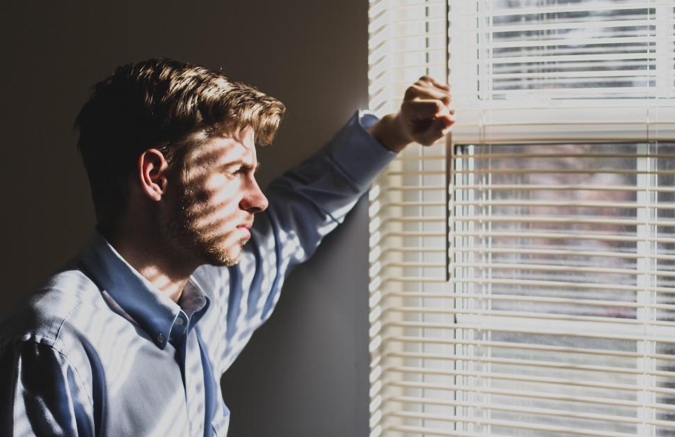 Office Blinds